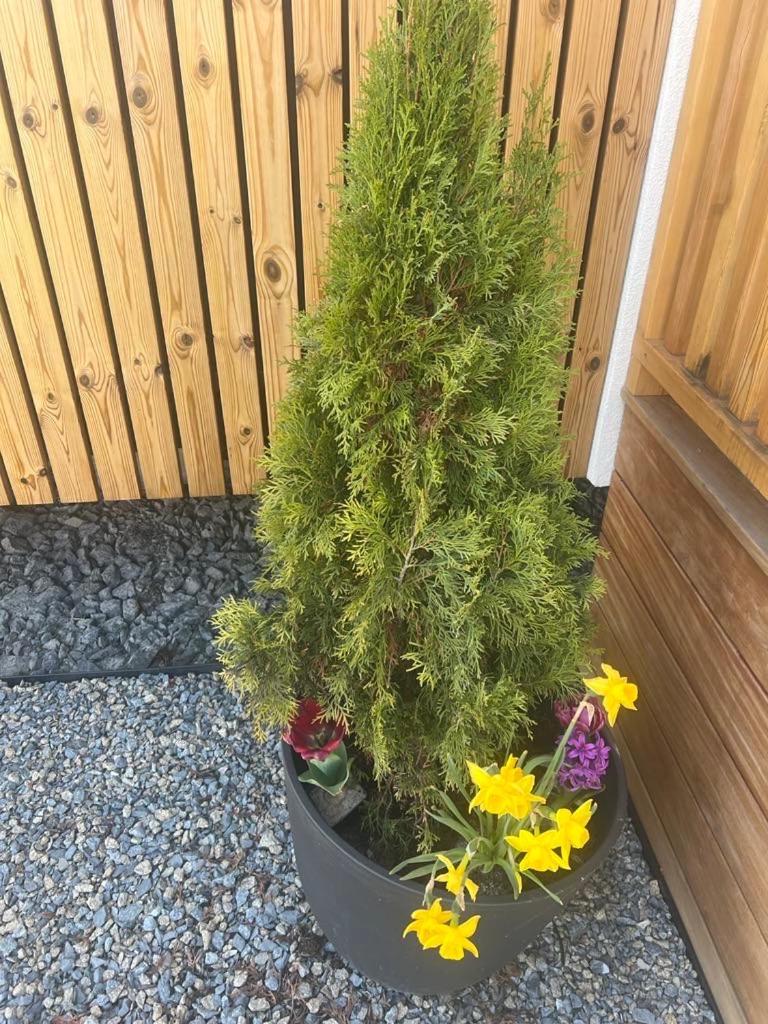 Domcek Pod Vezami S Virivkou A Grilom, Pri Termalnom Kupalisku Apartamento Liptovský Ján Exterior foto